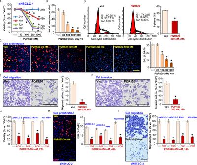 The Anti-Non-Small Cell Lung Cancer Cell Activity by a mTOR Kinase Inhibitor PQR620